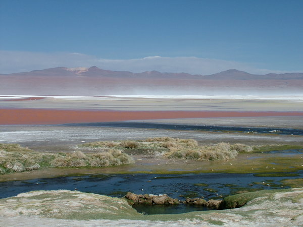 laguna Colorada