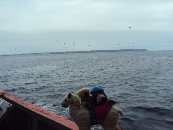 lamin prvy trajekt/ lamas first ferry