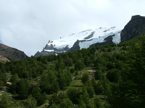 PN Torres del Paine