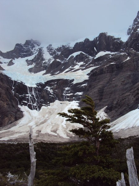 PN Torres del Paine - Glaciar del Frances