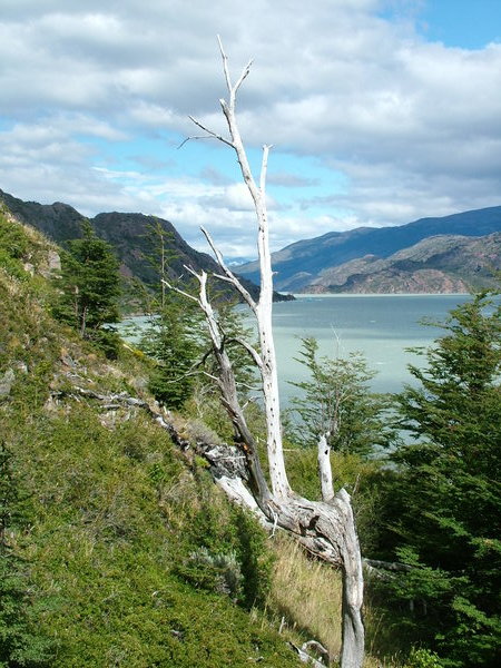 PN Torres del Paine - Lago Grey