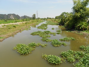 okolie Ninh Binh