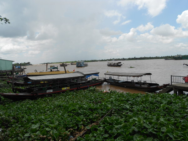 delta Mekongu