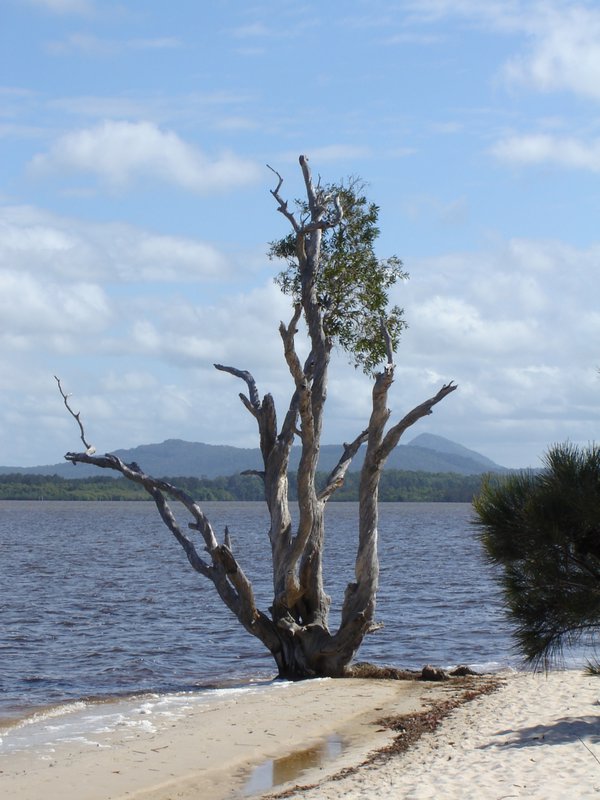 lakeside at Cootharaba