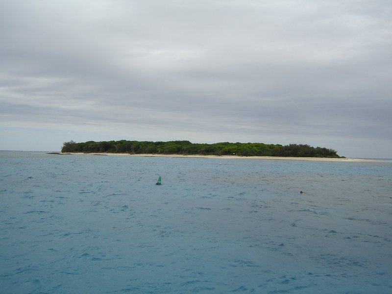 lady Musgrave Island