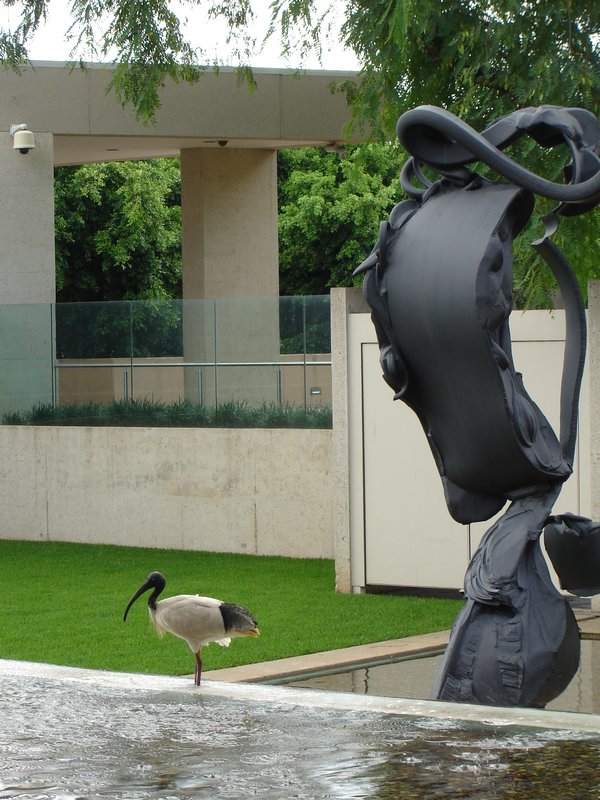 ibis and sculpture 