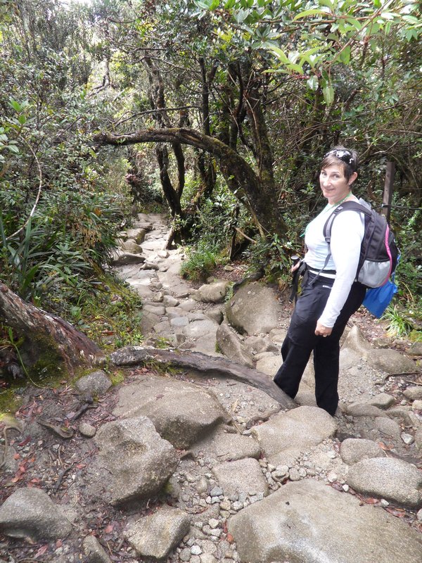 Trekking down Mount Kinabalu