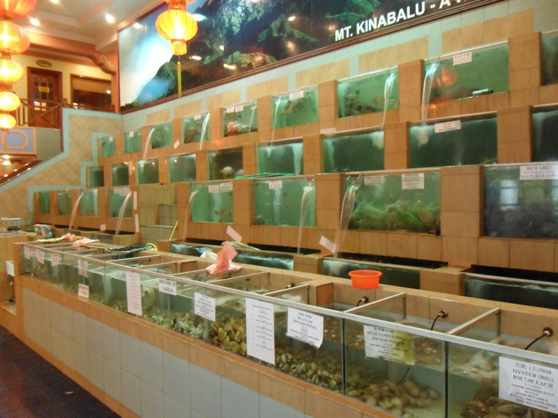 Fresh Fish Restaurant