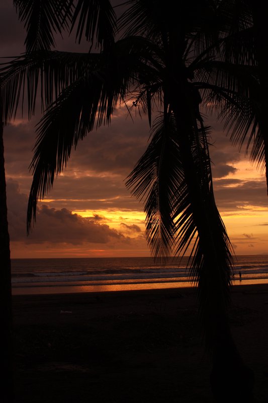 Jaco beach at sunset