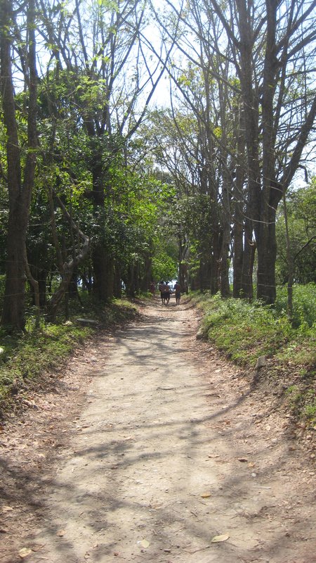 road to the beach