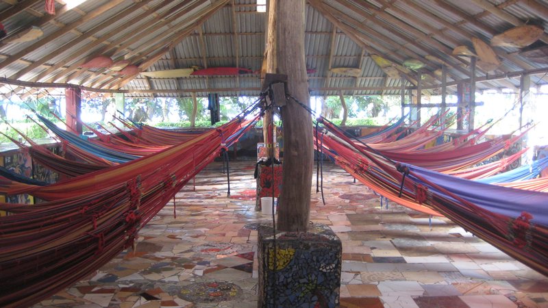 the hammocks