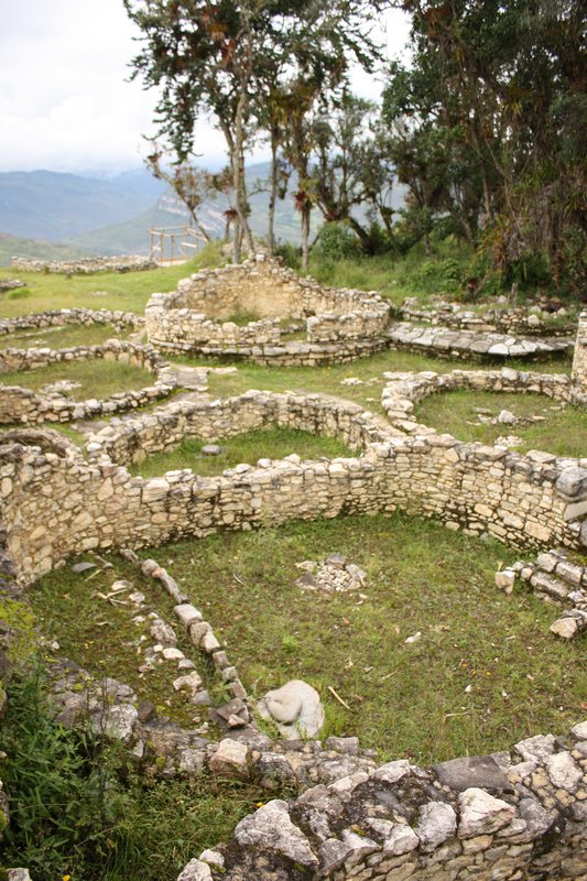 the remains of the circular houses