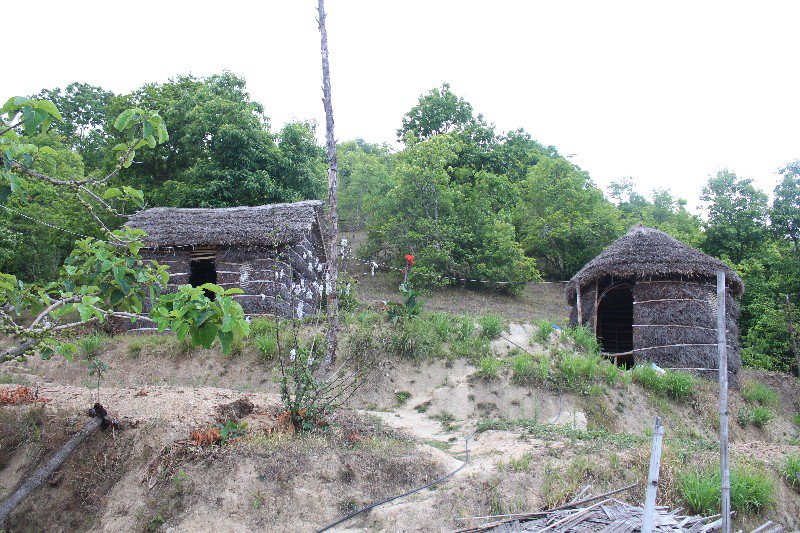 the adventurous bamboo huts