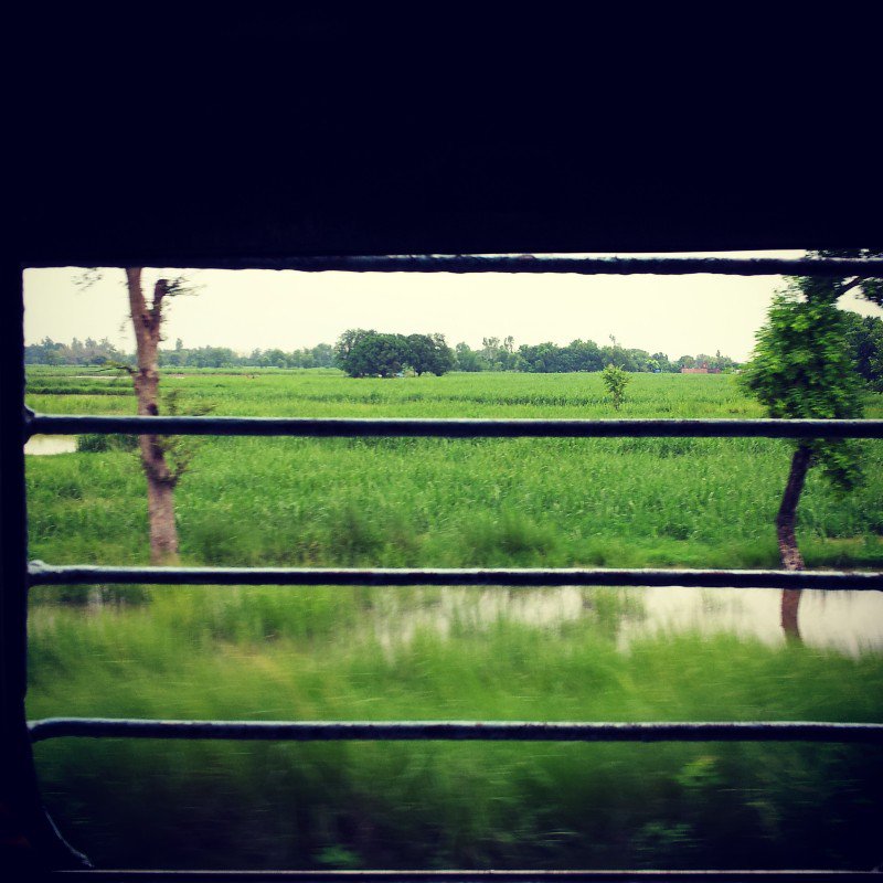 from the eyes of the train