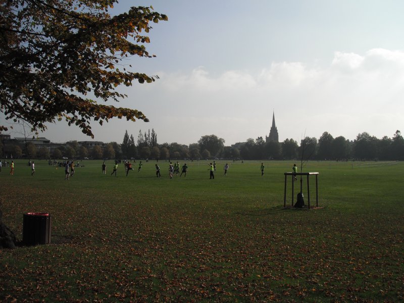 Park in the center of Cambridge