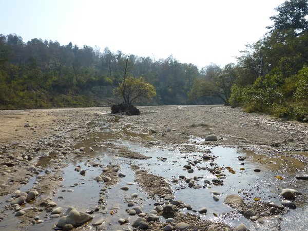 Ramganga in Dry Season