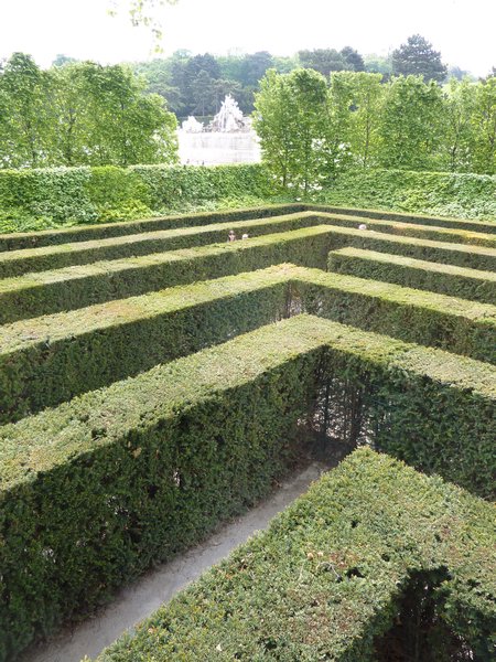 Schonbrunn Palace Maze