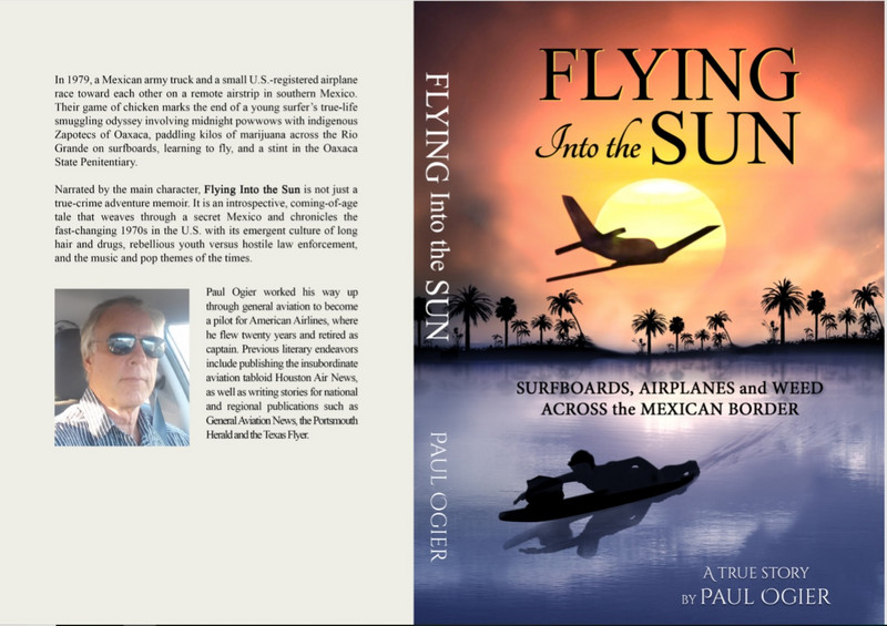 Flying Into the Sun   Amazon Books