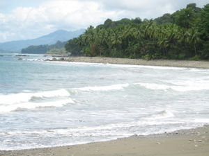 Another Dominical Beach