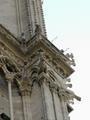 The Famous Notre Dame Gargoyles