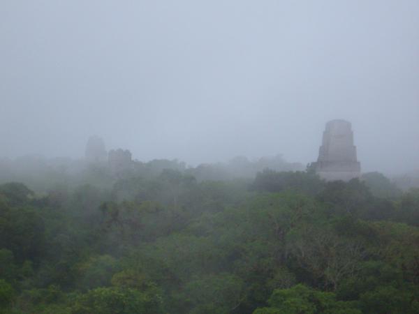 Temples 1,2 and 3 emerge from the cloud forest at Tikal