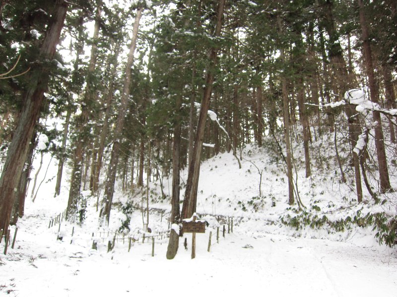 Higashiyama forest