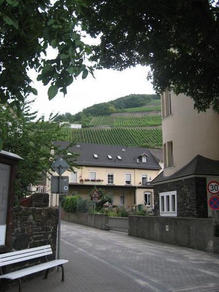 Assmanhausen and Vineyards