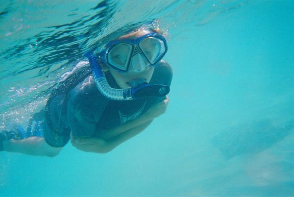 Heron Island Snorkeling