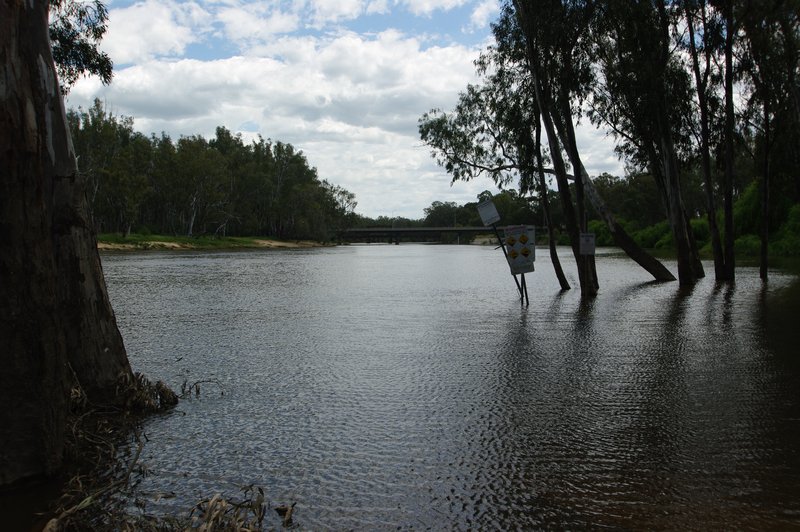 Murray River 