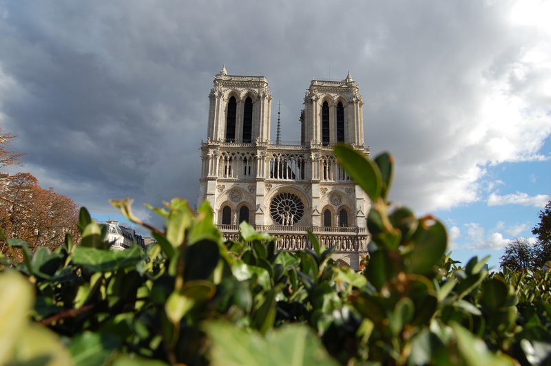 Notre Dame - pro photogropher Case 