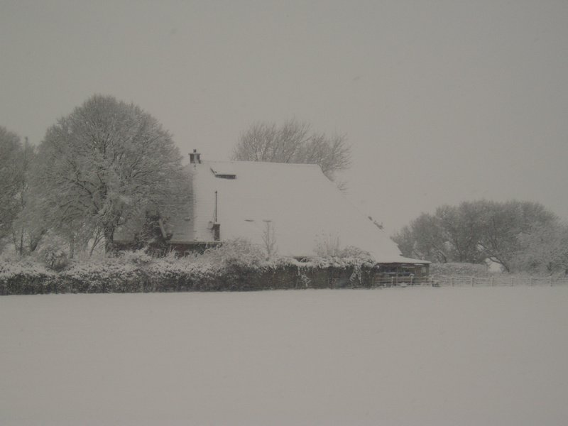 Frisian landscape in the snow