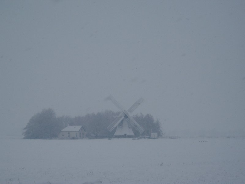 Frisian lansdscape in the snow 2