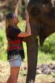 Elephant love!