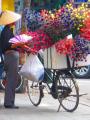 Flower lady in Hanoi