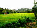 Lanka countryside