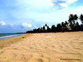 Uppaveli Beach