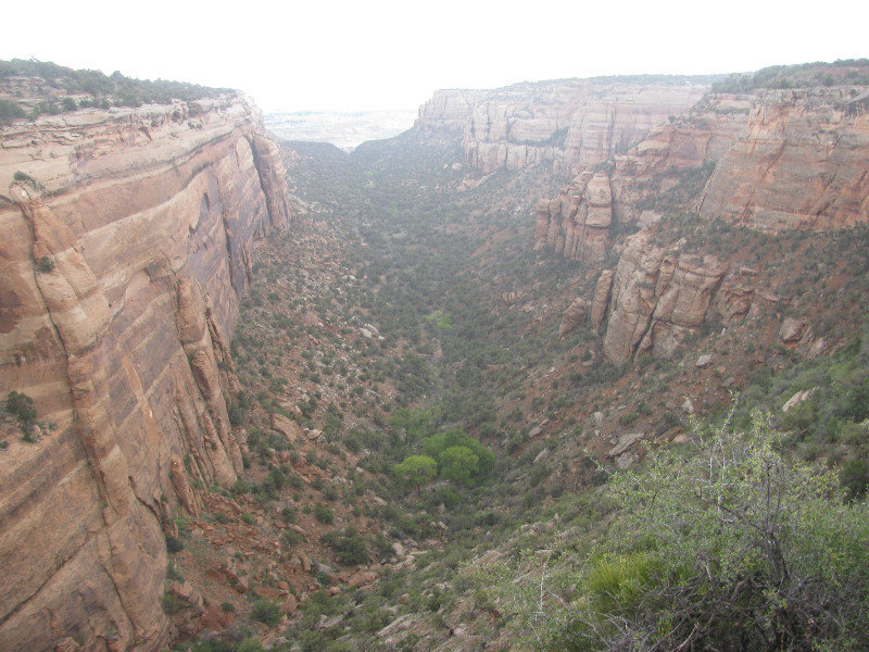 14 sept. Col.N.M. Red Canyon3