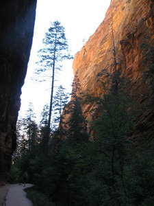 30 sept. Zion N.P.The Angels Landing tr 40