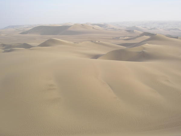 Dune buggy heaven