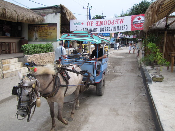 passanger cimodo (horse cart)