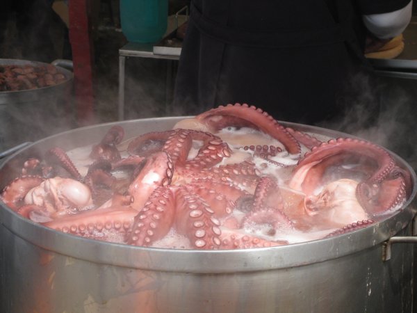 More octopus