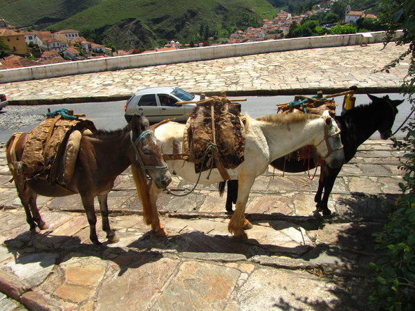 How many mules does it take to walk up a hill in Ouro Preto?