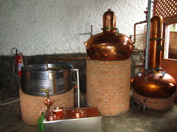 Cachaca distillery 2
