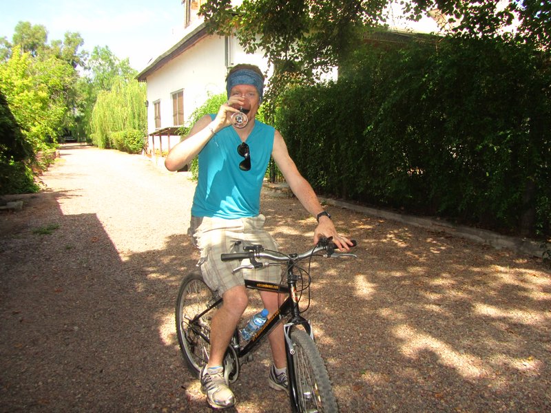 Drinking and Cycling