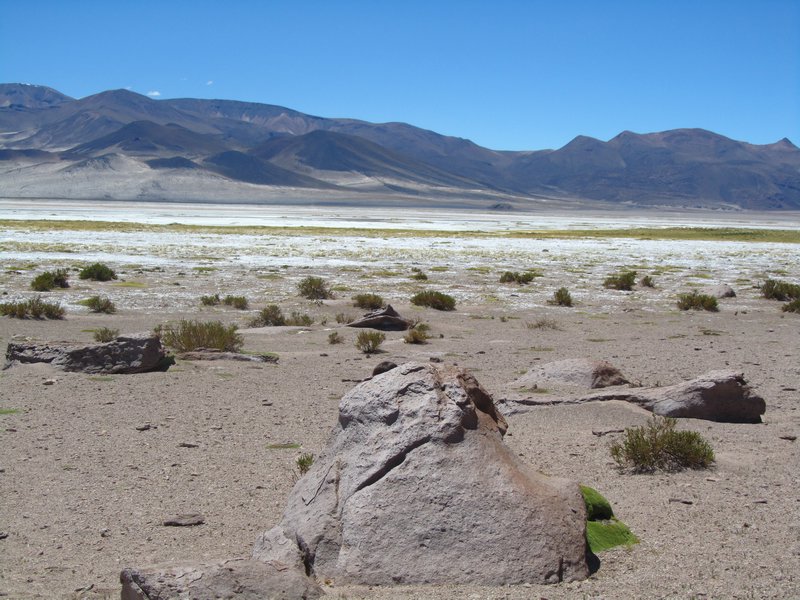 Northern Atacama Desert