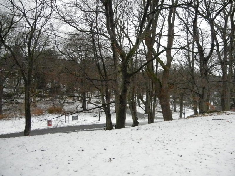 Slottskogen Park