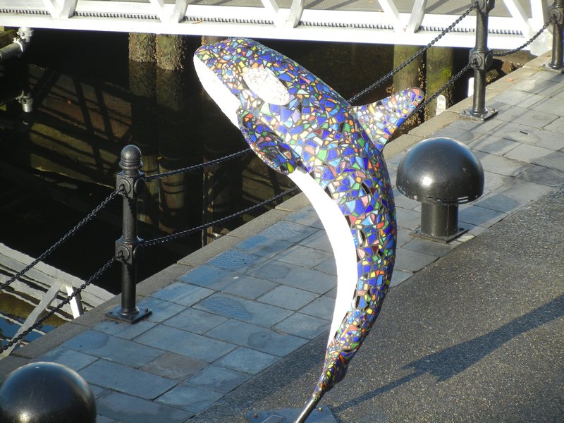 There are a number of these painted dolphins around the harbour and city - cute!