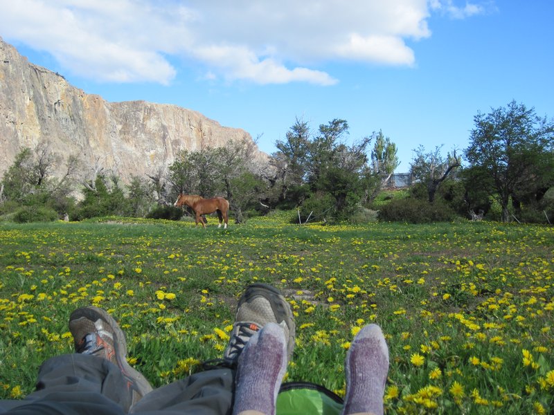 Camping with horses