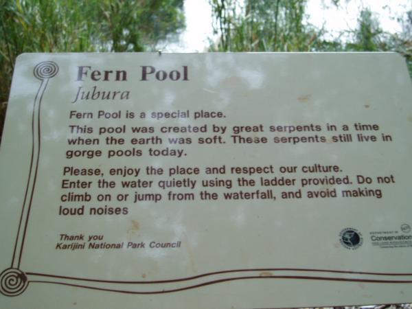 Fern Pool