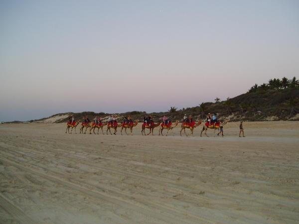 Cable Beach Camel rides